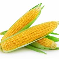 Сколько варить кукурузу